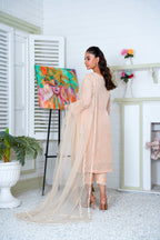 NOOR (soft pink)